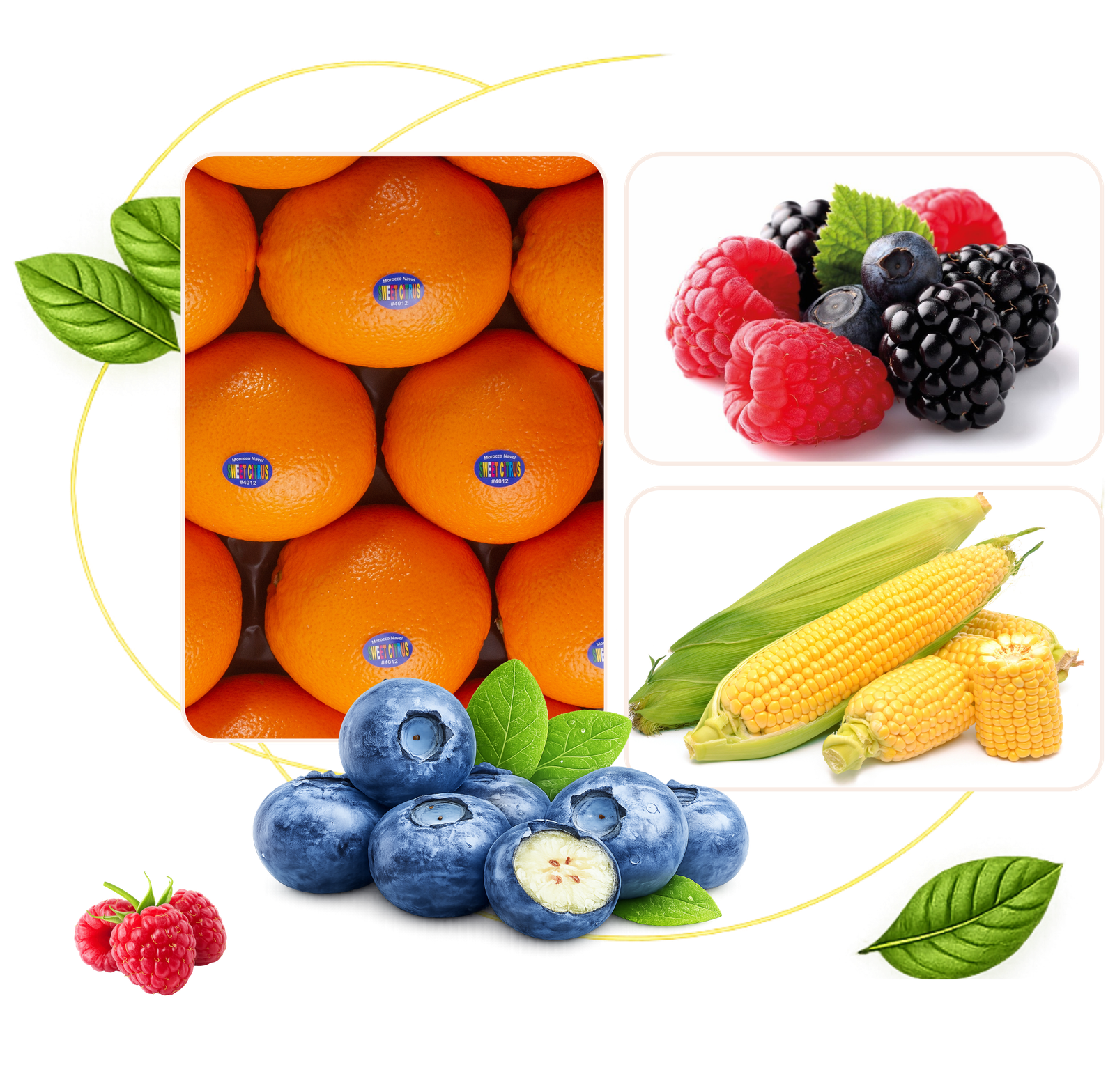VitaSouss fresh produce — oranges, berries and sweet corn