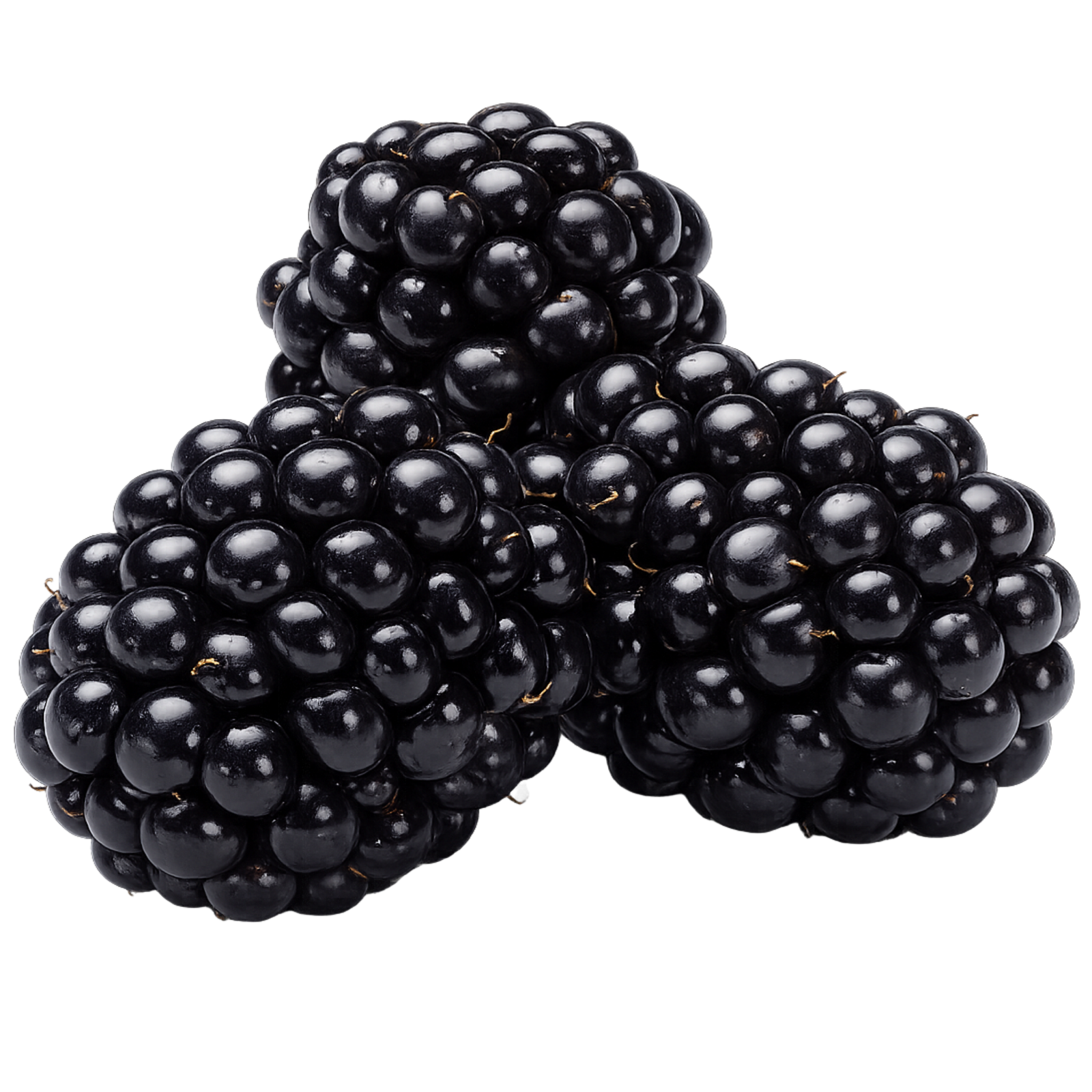 Blackberries