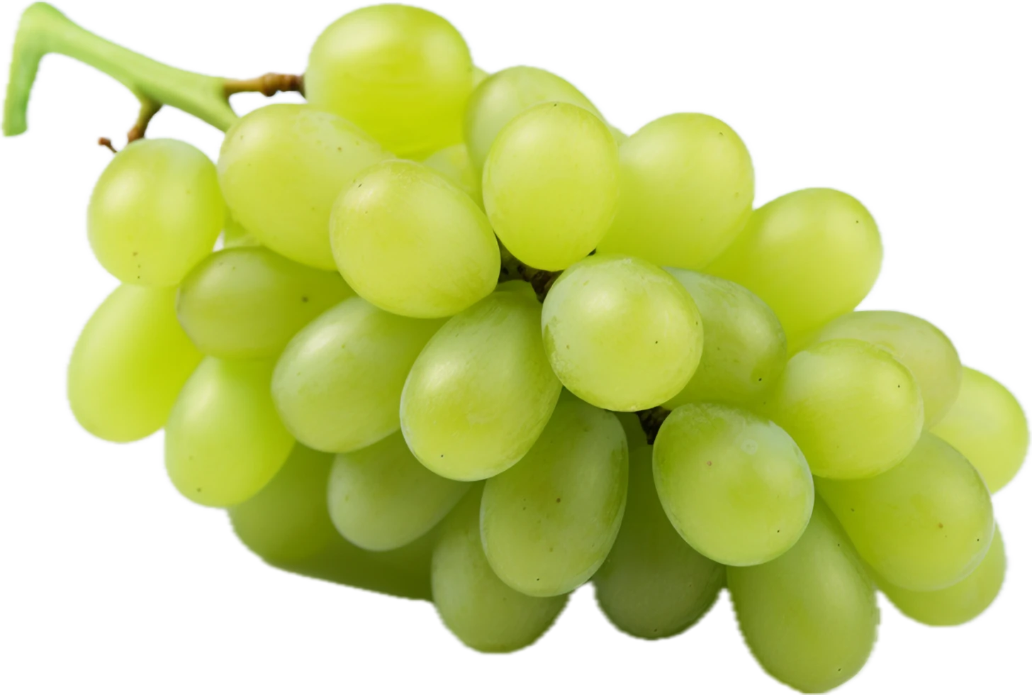 White Grapes