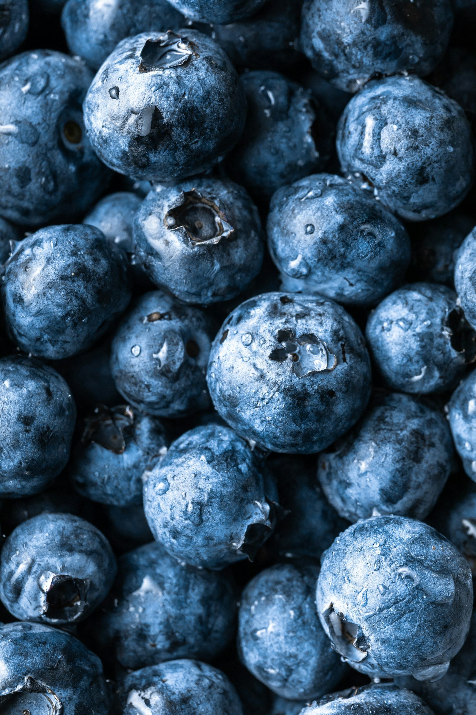 Fresh blueberries