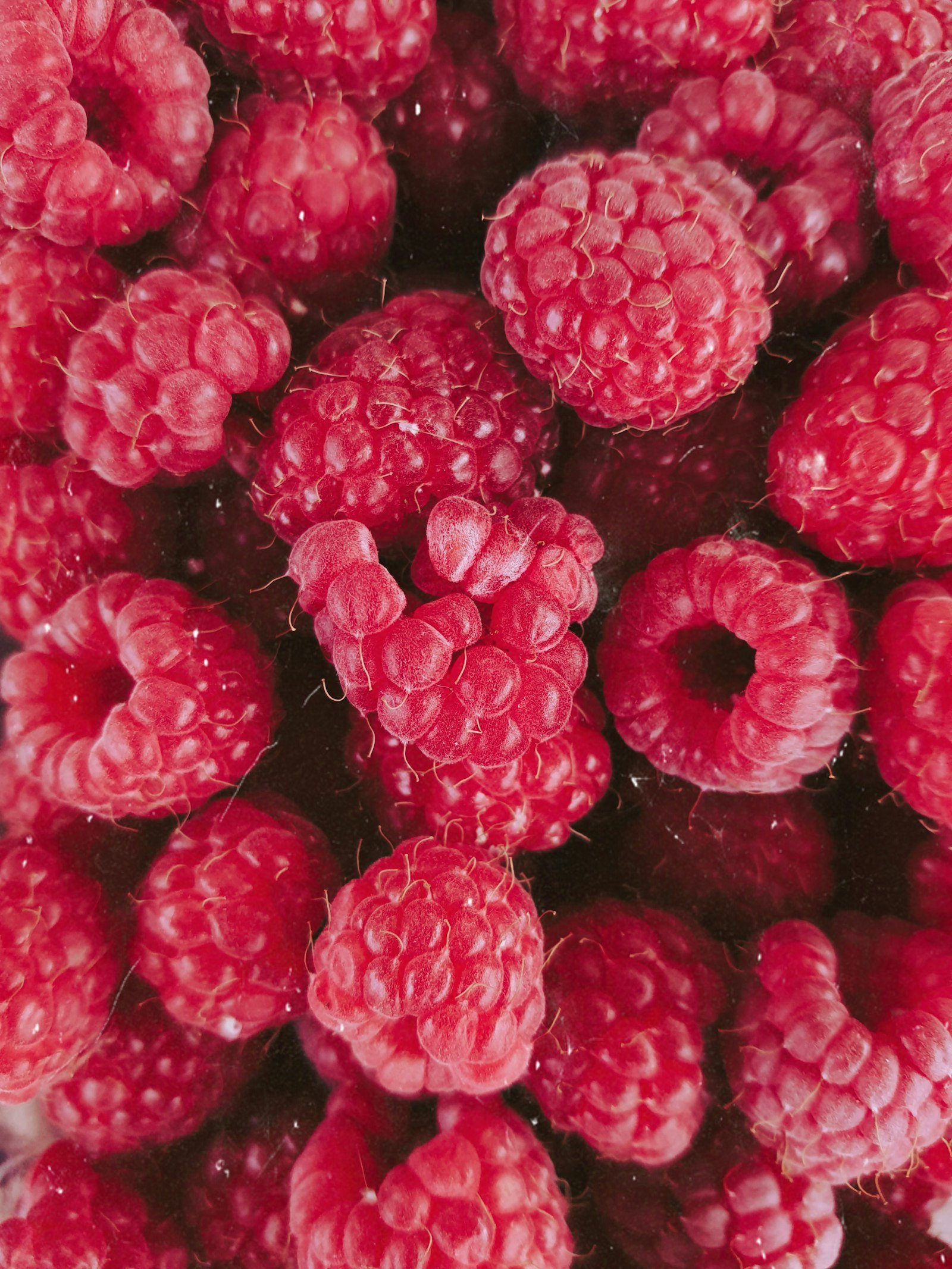 Fresh raspberries